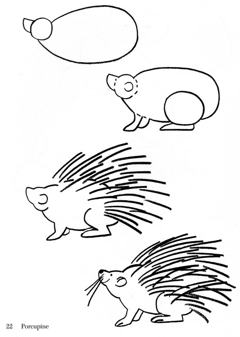 767x1077 Porcupine Drawing