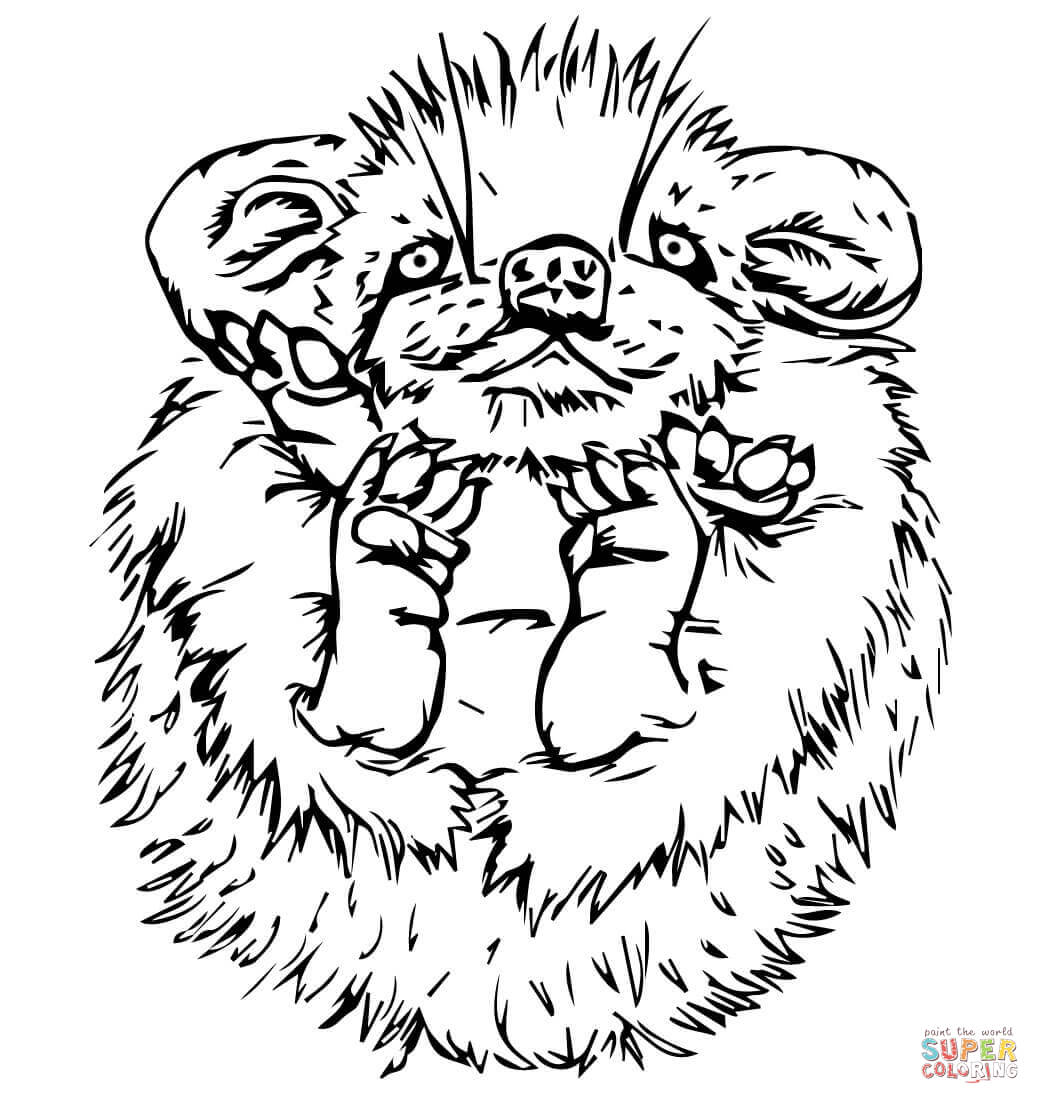 1040x1104 Cute Baby Porcupine Coloring Page Free Printable Coloring Pages