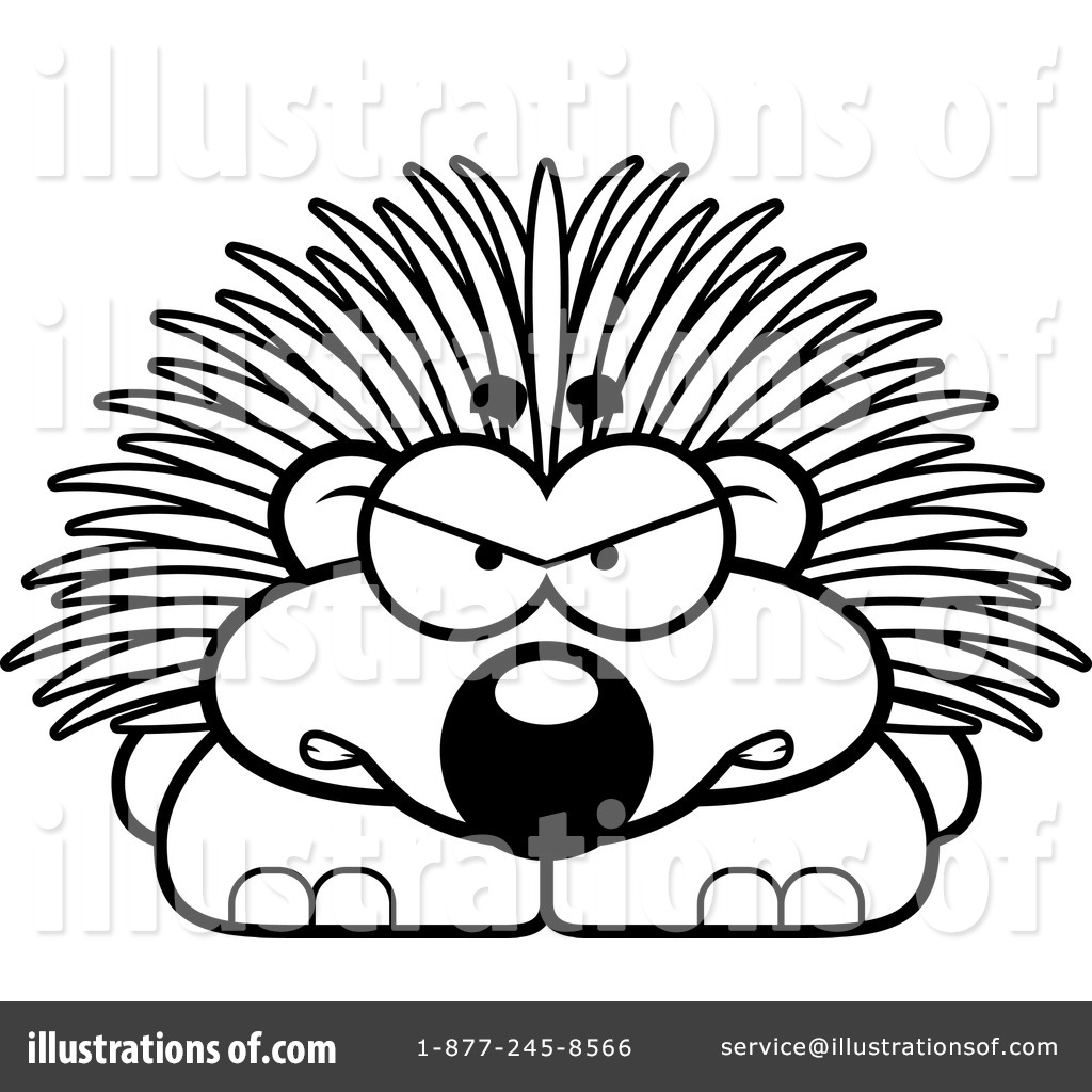 1024x1024 Porcupine Clipart