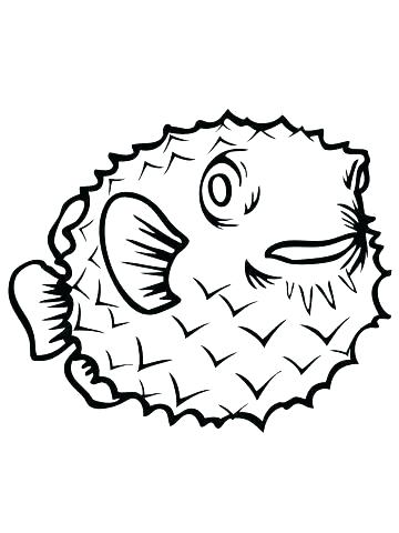 360x480 Porcupine Coloring Page