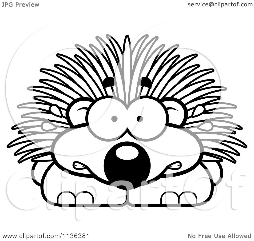 1080x1024 Cartoon Clipart Of An Outlined Scared Porcupine