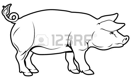 450x274 An Illustration Of A Pig, Could Be A Label For Pork Royalty Free