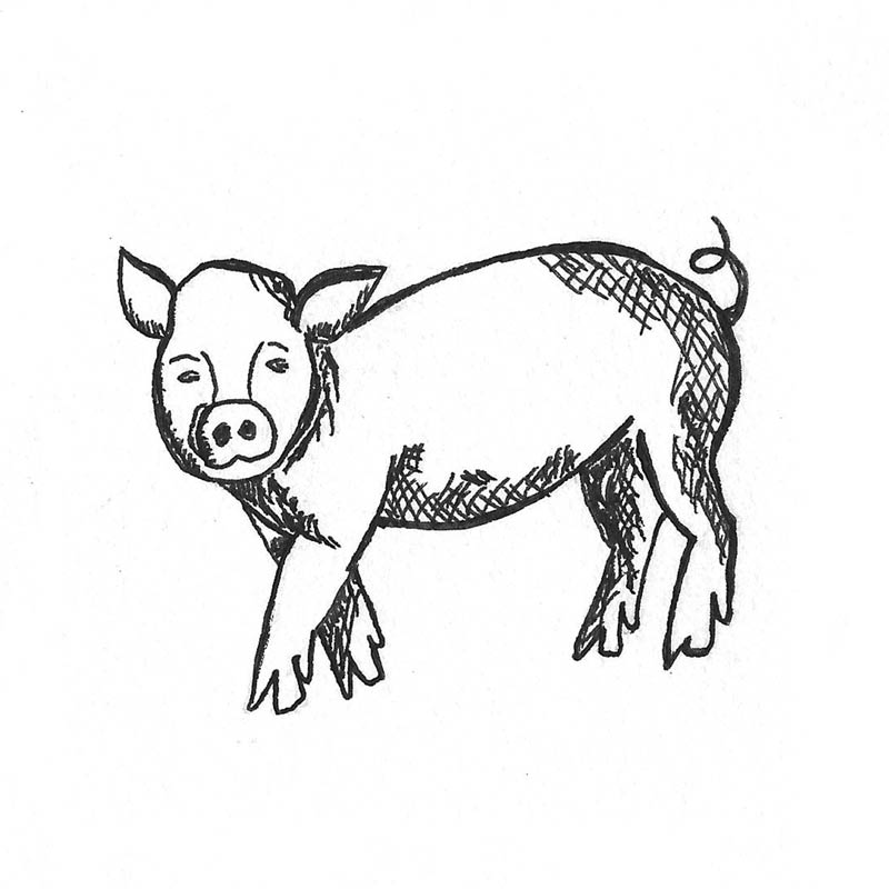 Pork Drawing at GetDrawings | Free download