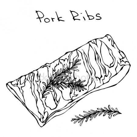 450x450 Row Pork Ribs And Herbs. Realistic Vector Illustration Isolated