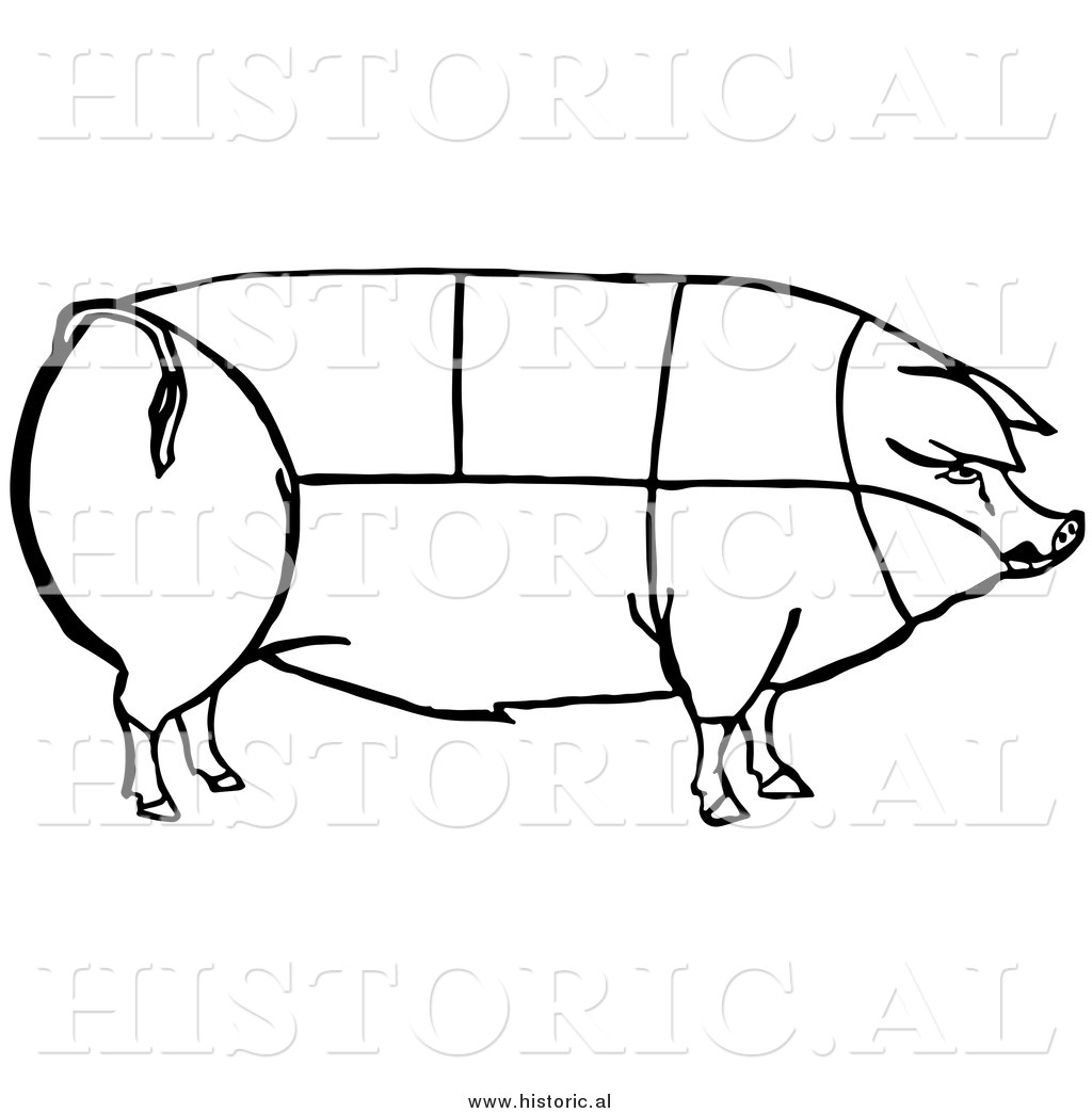 1024x1044 Clipart Of A Pig With Outlined Cuts Of Pork Chart