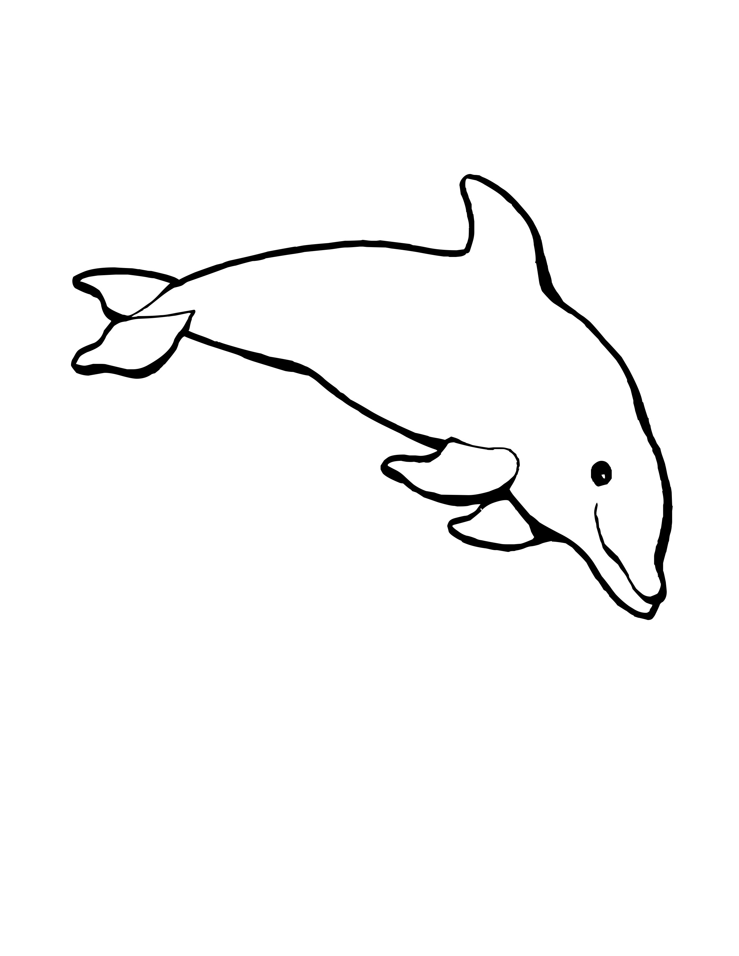 2477x3203 Dolphin Strong Dolphins Kids Net