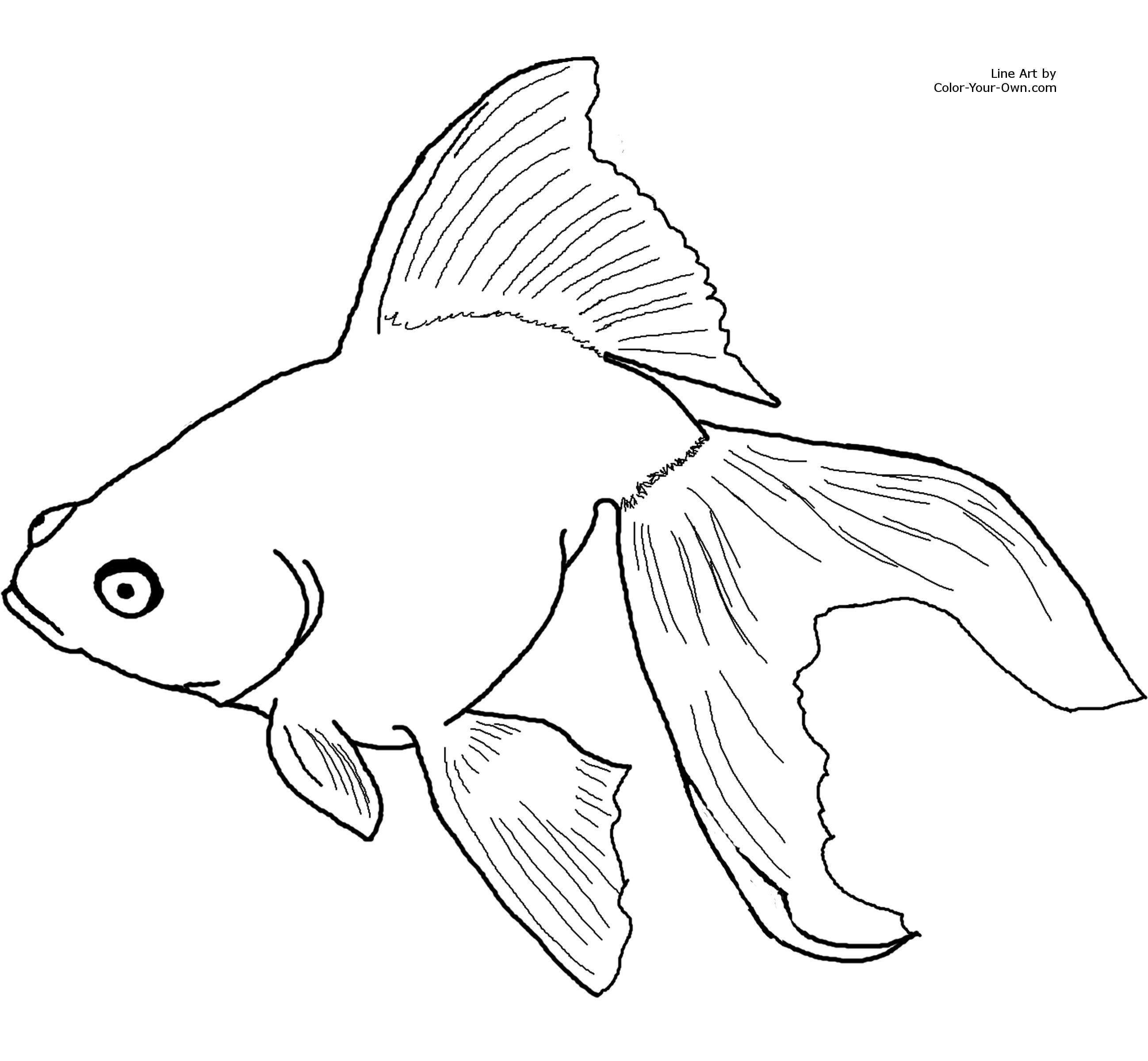 2596x2400 Most Kidsdore Coloring, So This Goldfish Coloringctivity
