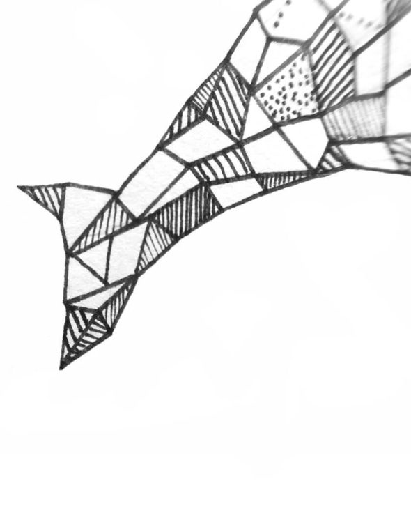 590x759 Porpoise Whale