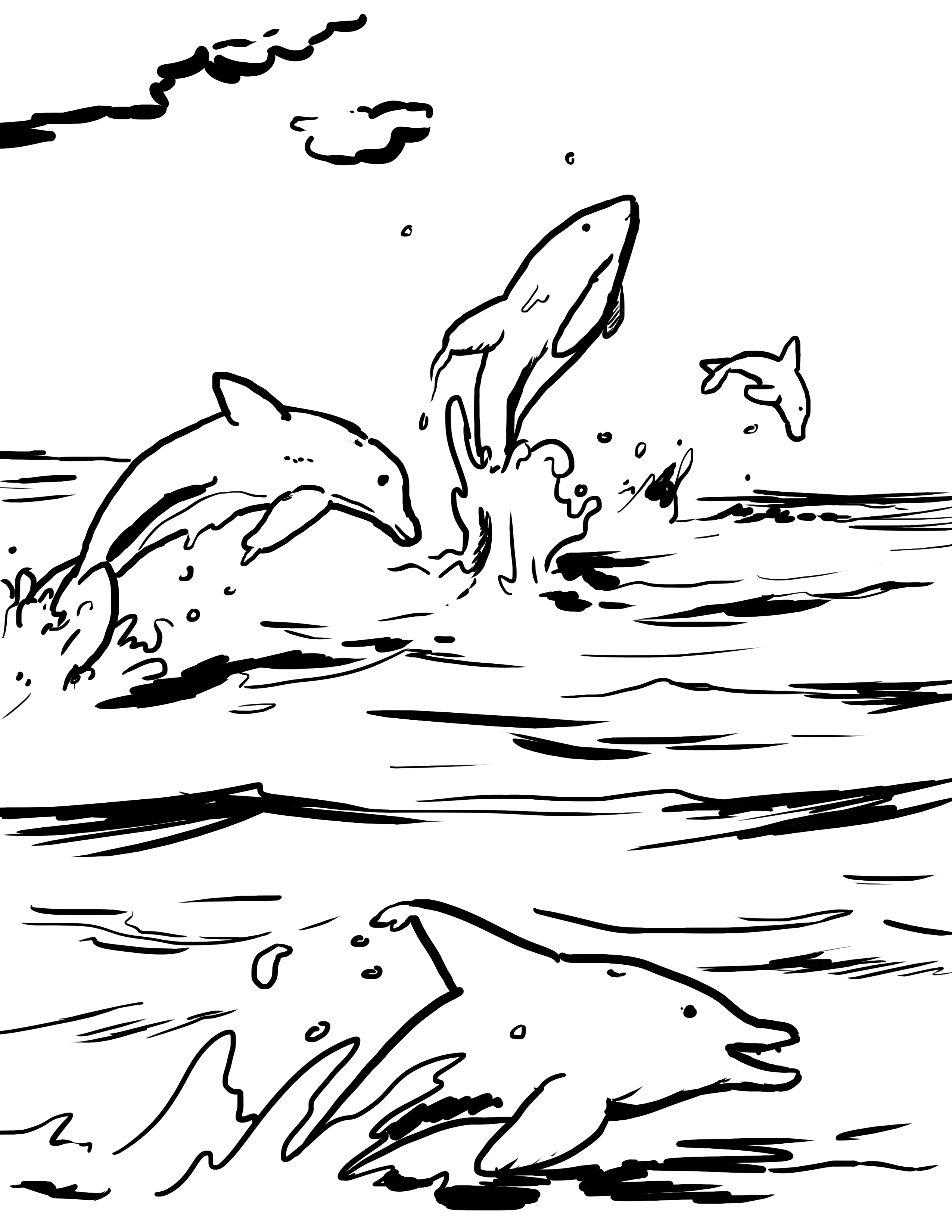 2550x3300 Seven Things You Didn'T Know You Wanted To Know About The Porpoise