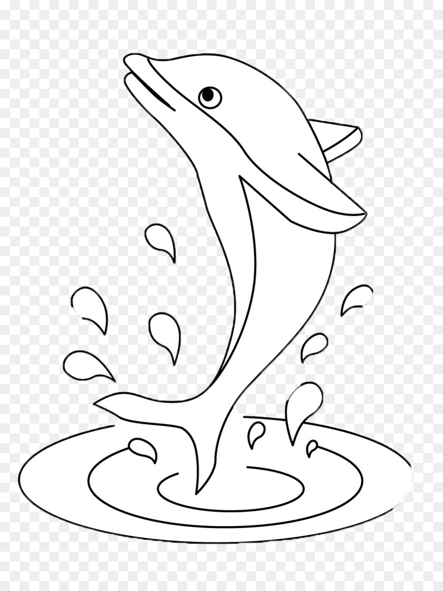 900x1200 Short Beaked Common Dolphin Harbour Porpoise Whale