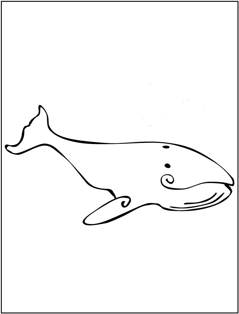 800x1050 Whale Coloring Page