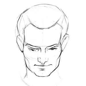 300x300 How To Draw The Head Front View Proko