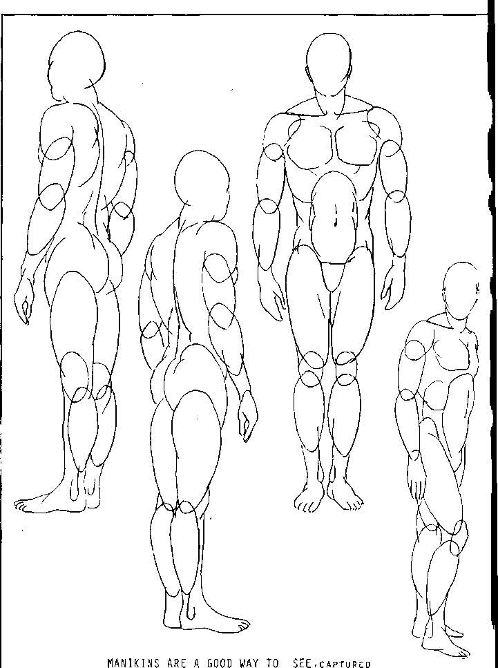 721x967 Good Understanding Of Anatomyis Essential