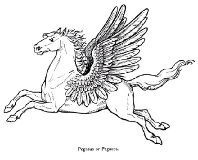 638x516 Pegasus