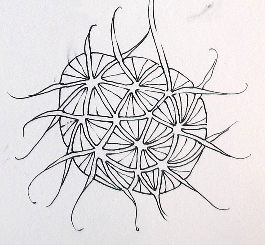 854x792 Zentangle Positive Or Negative