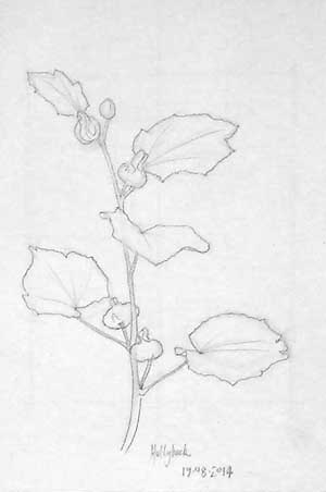 300x452 How To Make More Beautiful Compositions With Positive And Negative