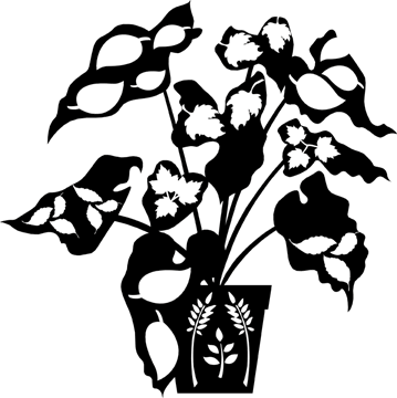 359x360 Little Moon's Design Studio