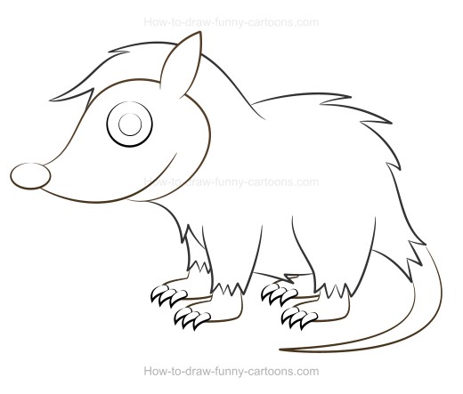 520x443 How To Draw A Cartoon Possum