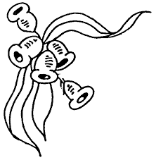 222x227 Image Result For Possum Drawing Aboriginal Art