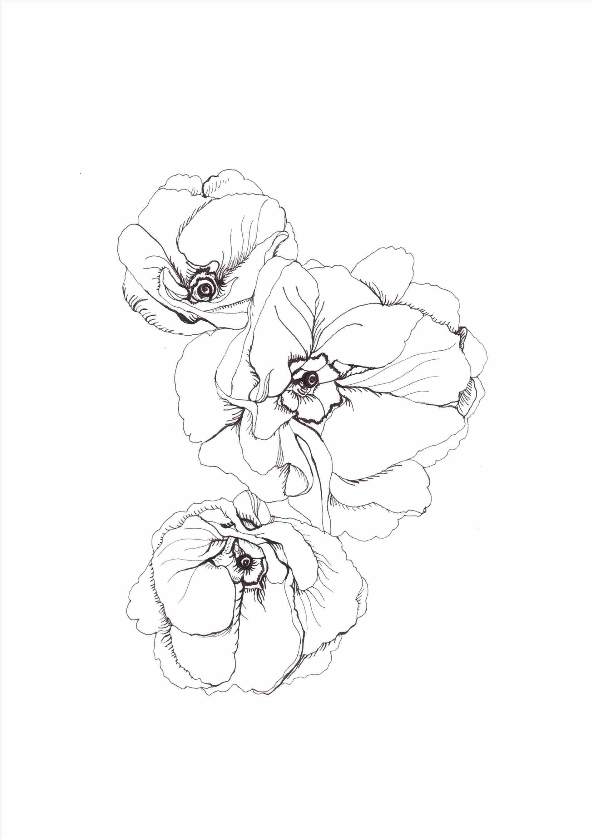 1899x2687 Lamp Post Httplessonsfortheyoungartist How Garden Drawing Tumblr