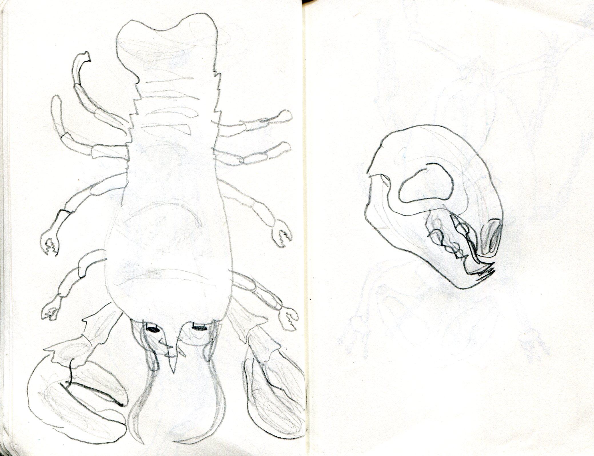 2078x1595 Pencil Drawing The Art Bungalow