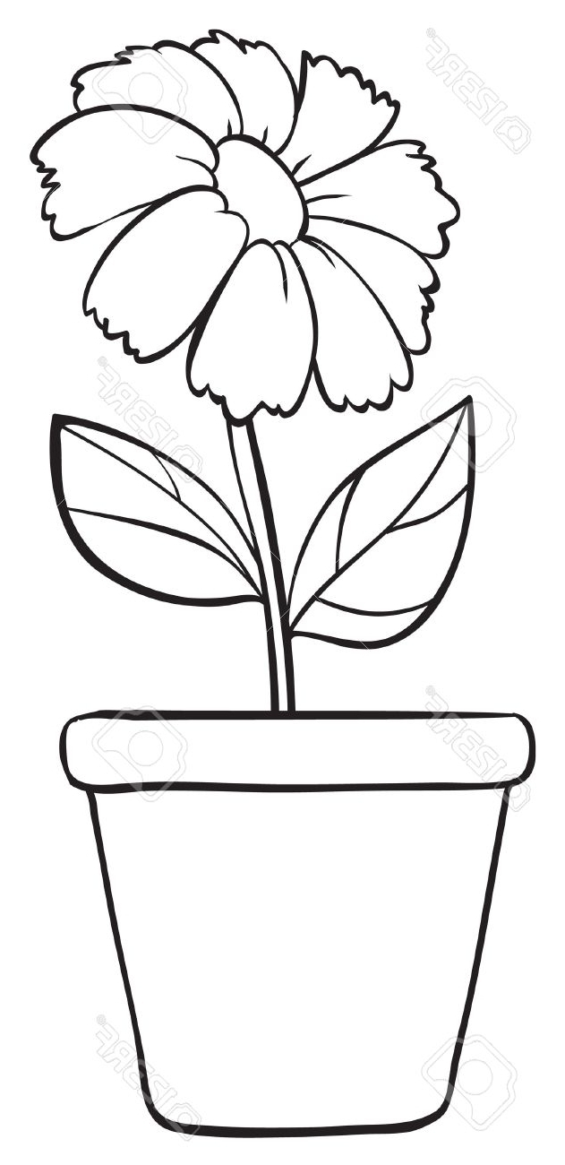 631x1300 Simple Flower Pot Sketches Simply Flower Pot Drawing
