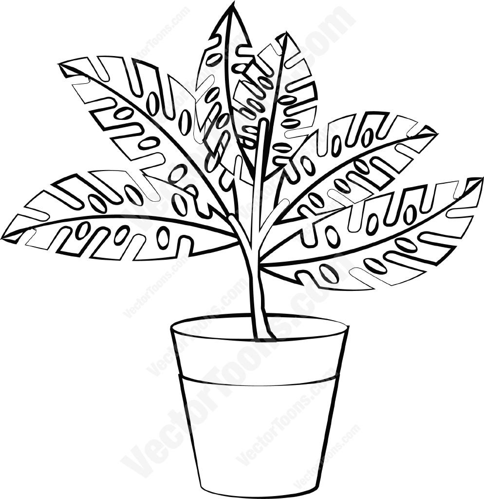 994x1024 Plant In A Pot Cartoon Clipart