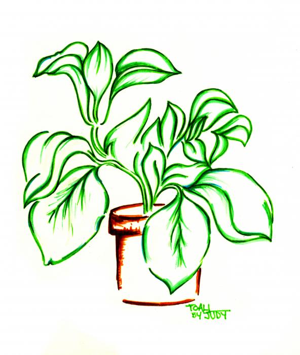 592x700 Plant Pot Drawings Greeting Clipart Panda
