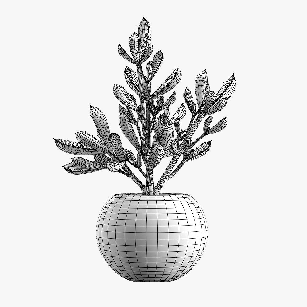 1000x1000 Pot Plant 14 3d Cgtrader