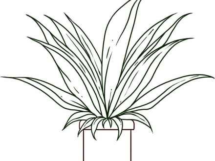 440x330 Cartoon Plant Pot Fern