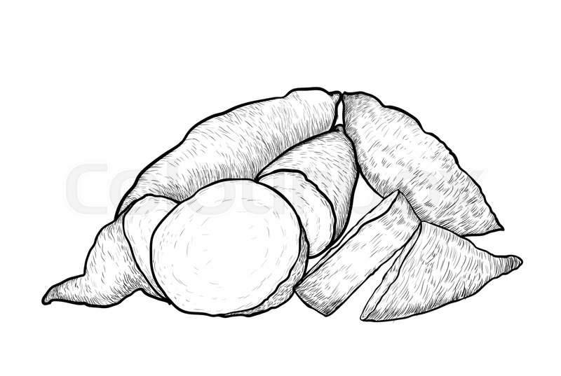 800x537 Hand Drawing Of Sweet Potato. Black And White Simple Line Vector
