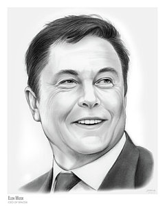 240x300 Musk Drawings Fine Art America