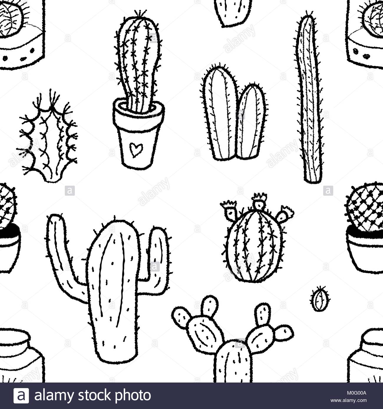 1300x1390 Cactus Vector Vectors Stock Photos Amp Cactus Vector Vectors Stock