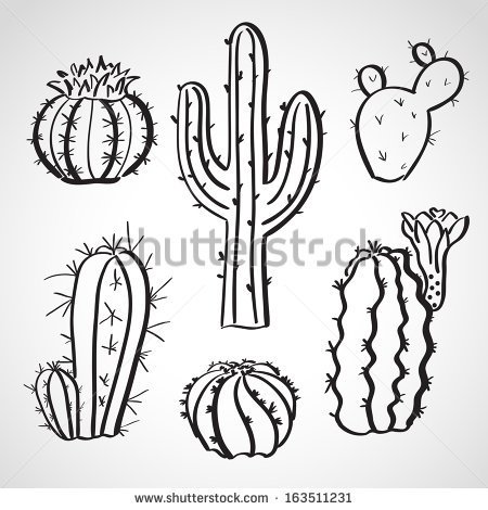 450x470 Image Result For Potted Cactus Drawing Art Class