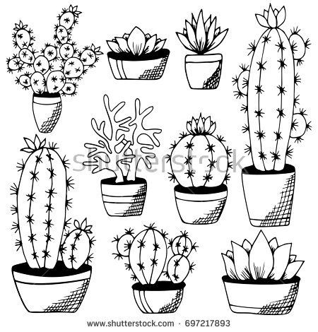 450x470 1869 Best Cactus 1 Images On Cactus Plants, Flora