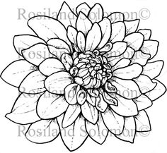 236x217 Resultado De Imagen Para Draw Potted Cactus Bordado