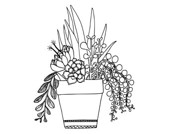 340x270 Potted Plant Drawing Etsy