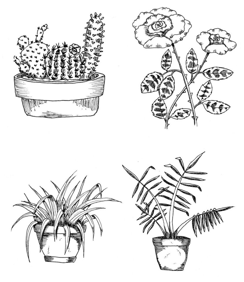 832x961 Potted Plants And A Rose By Digikijo