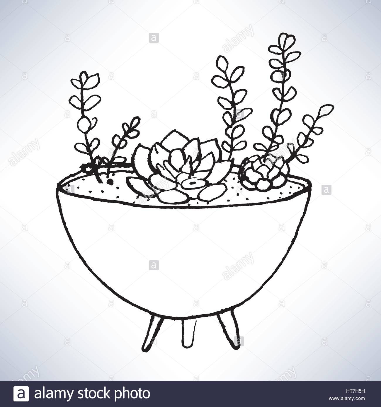 1300x1390 Isolated Hand Drawn Lineart Potted Plants Stock Vector Art