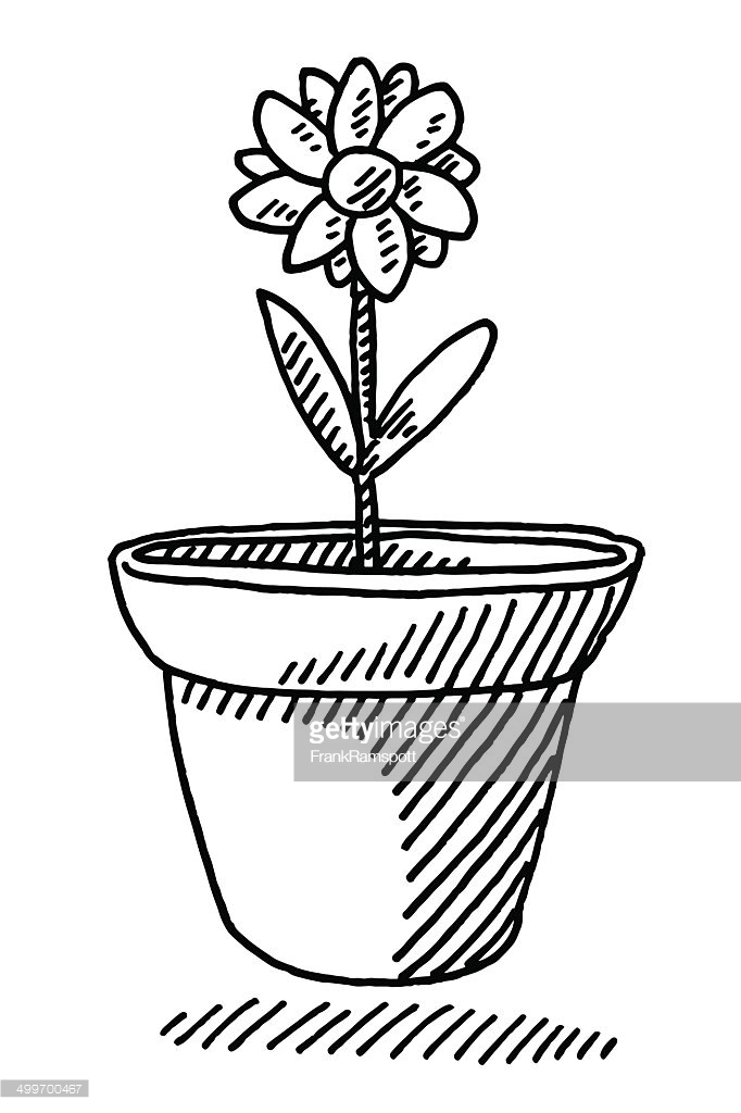 682x1024 Potted Plant Drawing