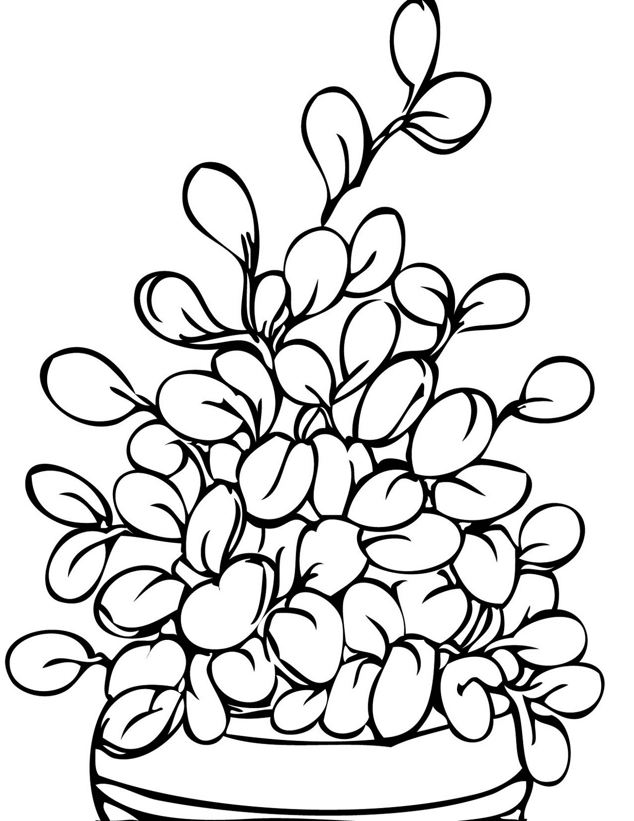 1236x1600 Potted Plant Drawing Clipart Panda