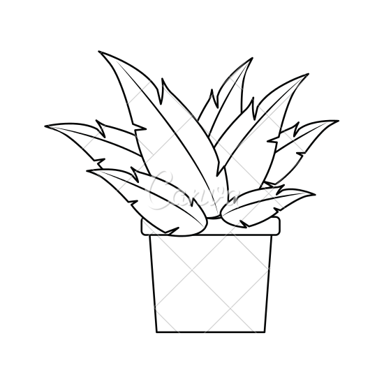 550x550 Potted Plant Icon