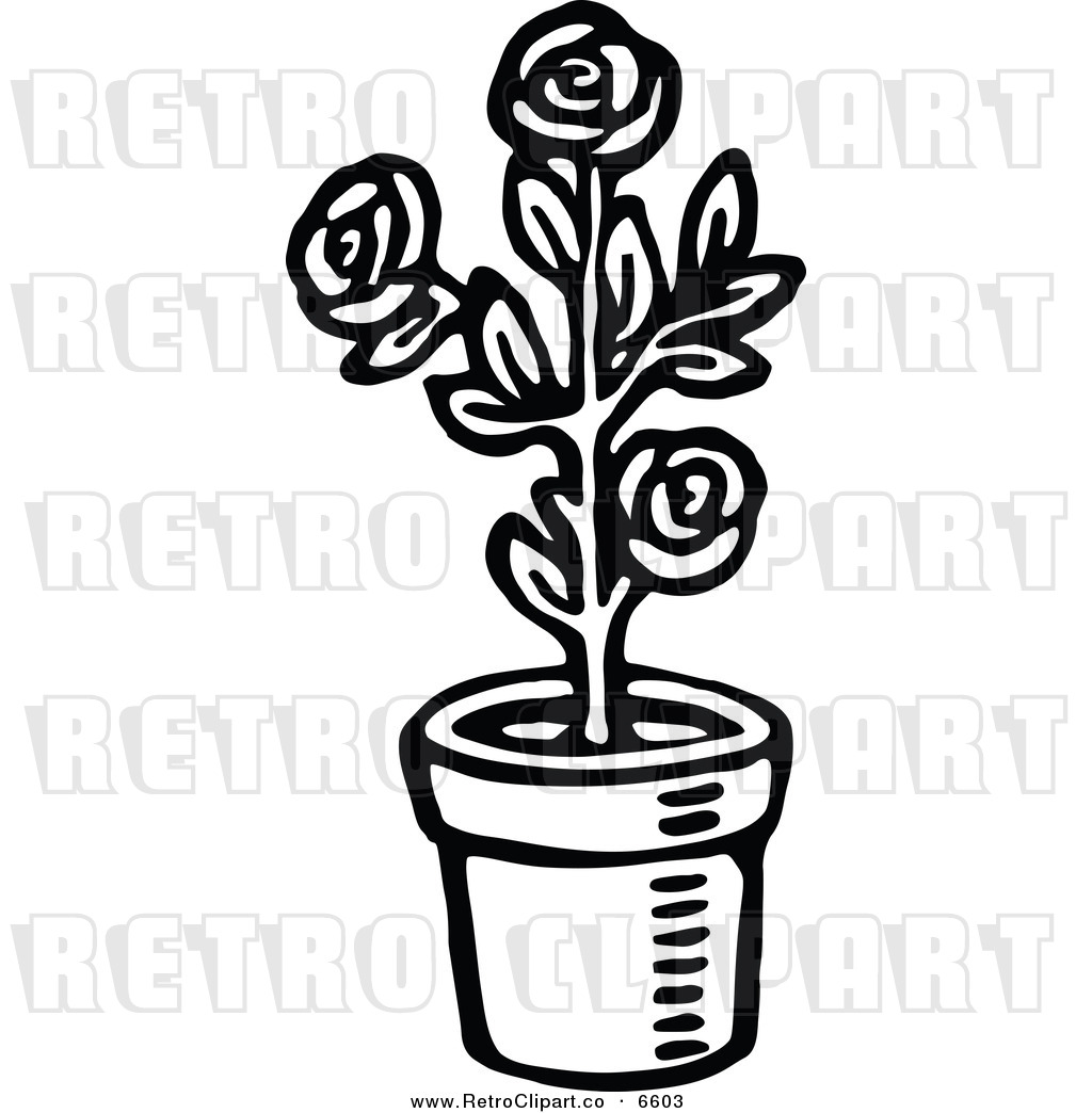 1024x1044 Potted Plants Black And White Clipart