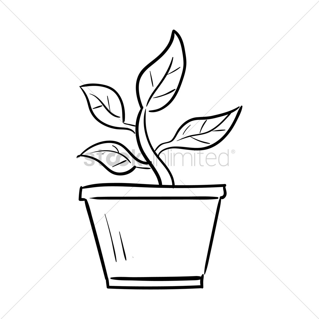 1300x1300 Potted Plant Vector Image