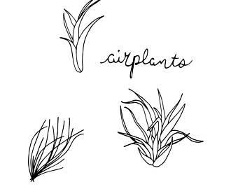 340x270 Potted Plant Print Etsy