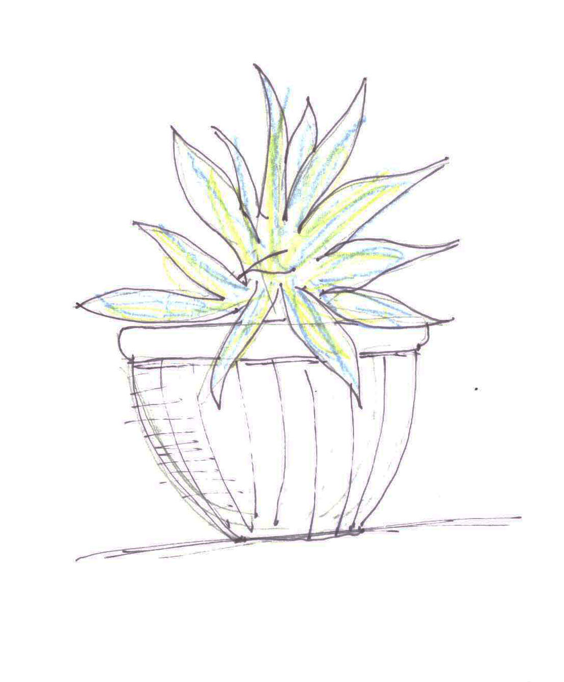 1104x1335 E3 Pot Sketch Concept