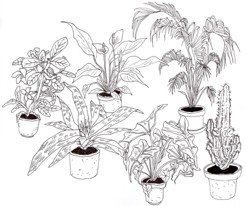 500x419 Emmi Riikka Art Illustrators, Doodles And Artsy