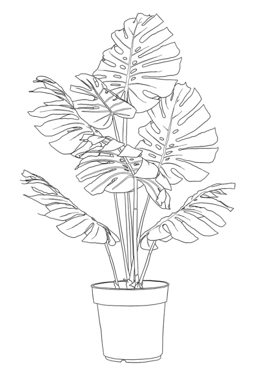 500x737 Otp Potted Plant Tumblr