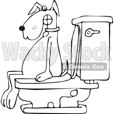 400x400 Of A Black And White Dog Pooping On A Toilet