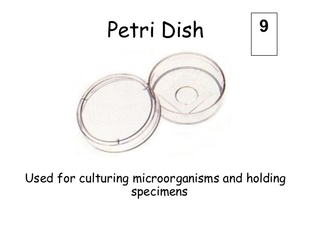 638x479 Lab Equipment.ppt 2013